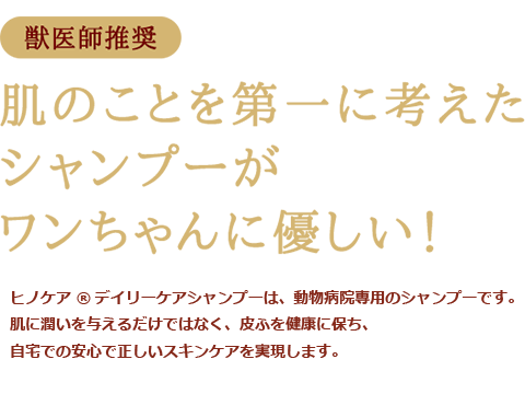 デイリーケア説明