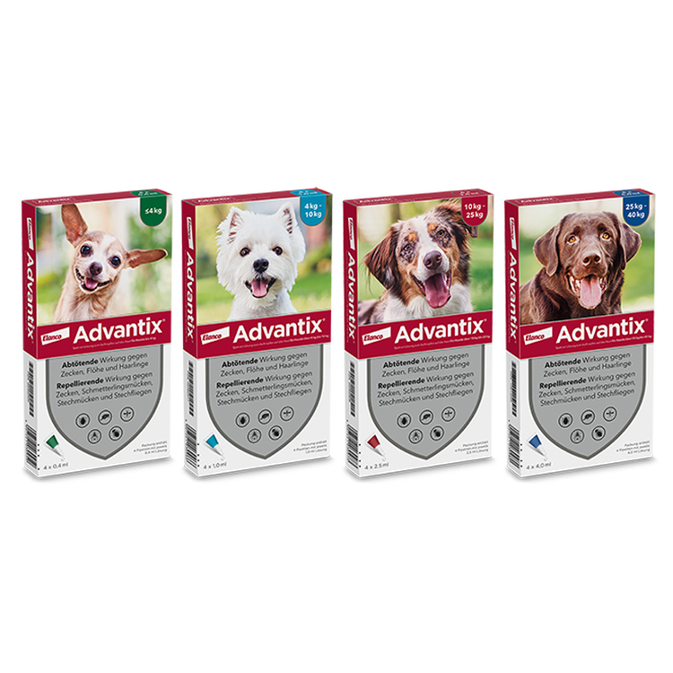 Advantix_Group_Dog