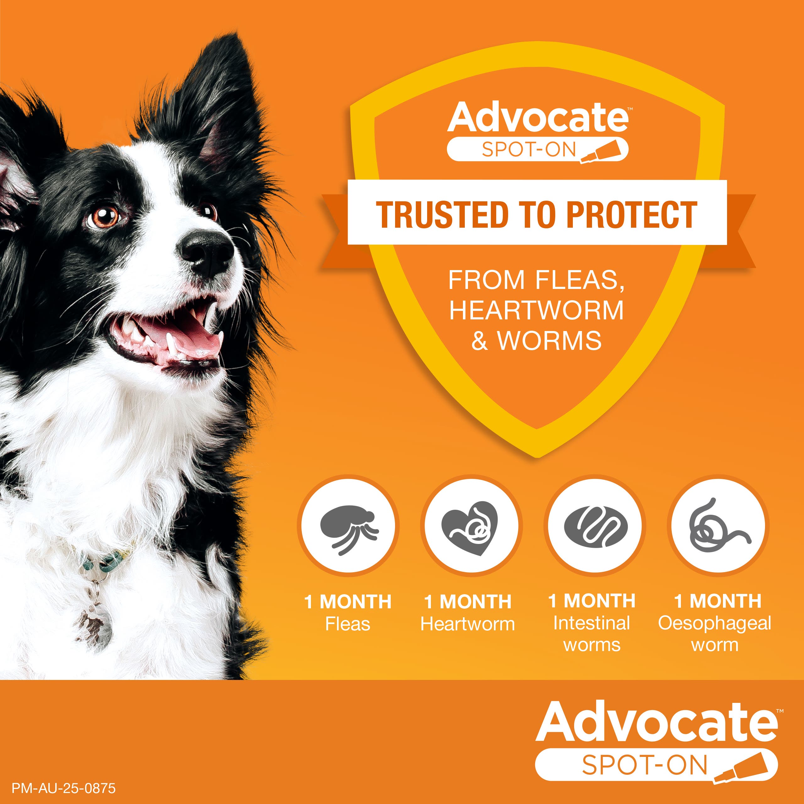Advocate Spot-On Trusted to Protect