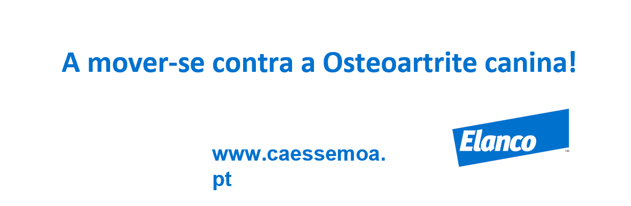 A mover-se contra a Osteoartrite canina!