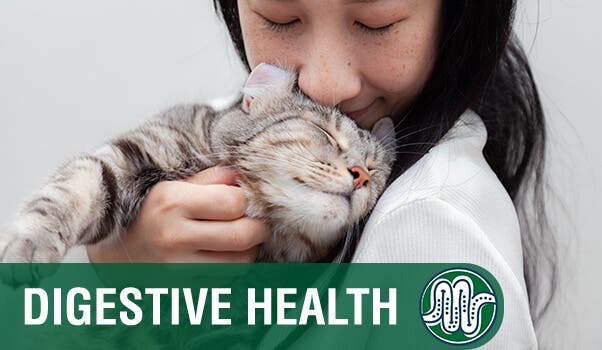 Happy cat and owner with digestive health text overlay