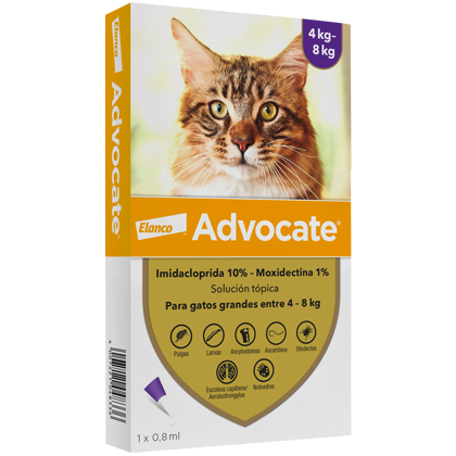 Simple Product Card - Advocate® Para gatos grandes entre 4 - 8 kg