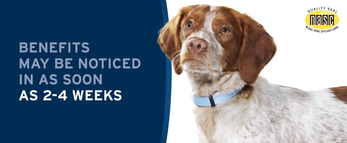 Benefits of pet protect hip and joint may be noticed in as soon as 2-4 weeks
