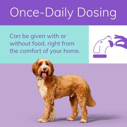Once-daily dosing for zenrelia. Can be given with or without food, right from your home.