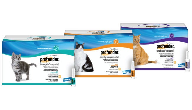 All in outlet one cat dewormer