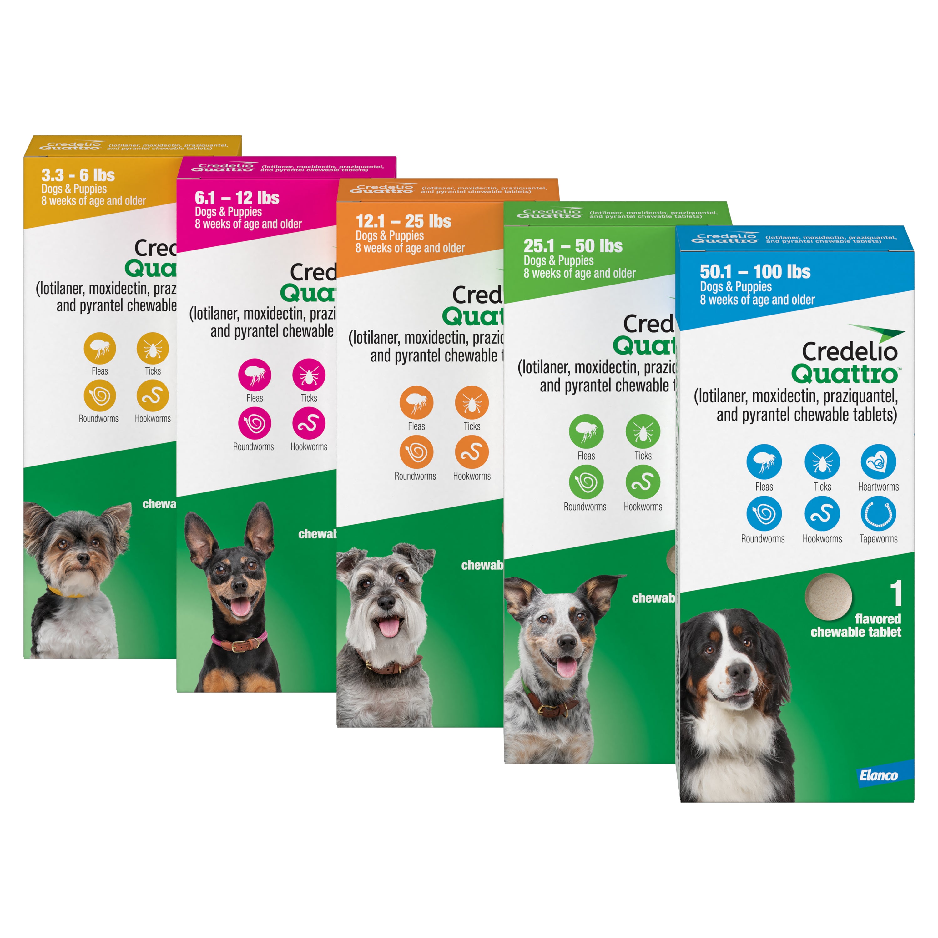 What Can I Give My Dog for Parasites: Safe & Effective Remedies