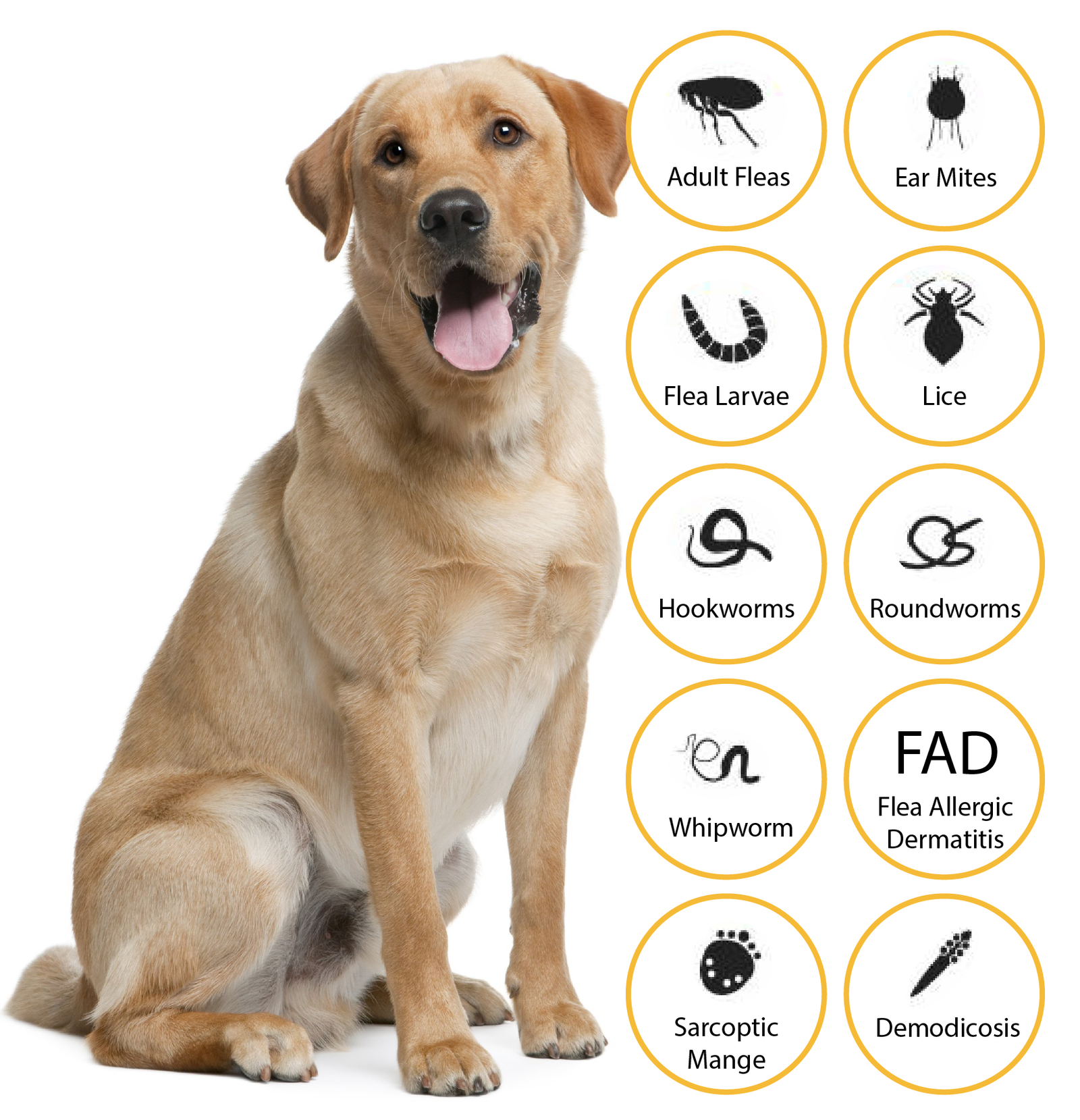 image showing Advocate for dogs flea worms and parasite protection