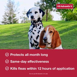 K9 Advantix II protects dogs all month long with same-day effectiveness. Kills fleas within 12 hours
