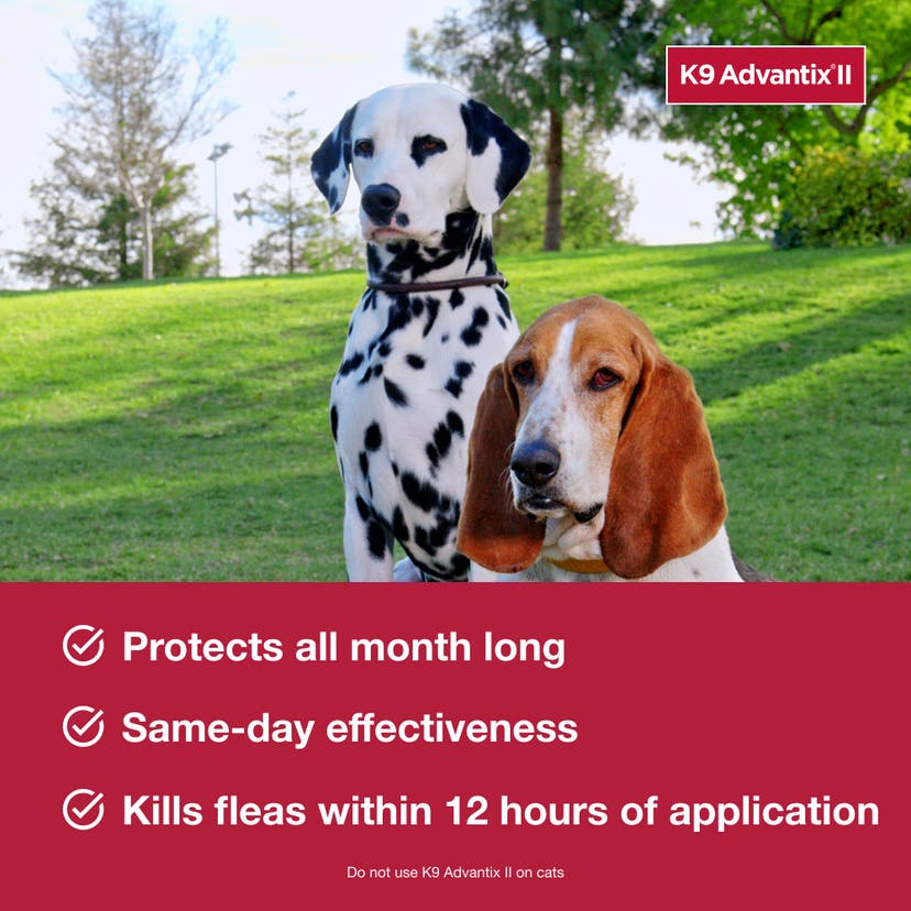 K9 Advantix II protects dogs all month long with same-day effectiveness. Kills fleas within 12 hours