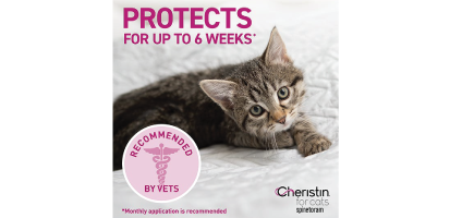 Tabby kitten with text about Cheristin being recommended by veterinarians