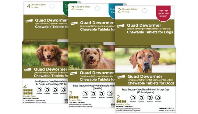 Quad Dewormer Chewables for Dogs Elanco Animal Health - Dewormers