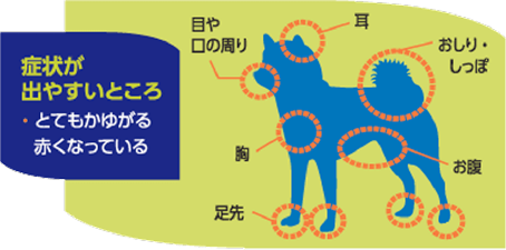 症状がでやすいところ　画像