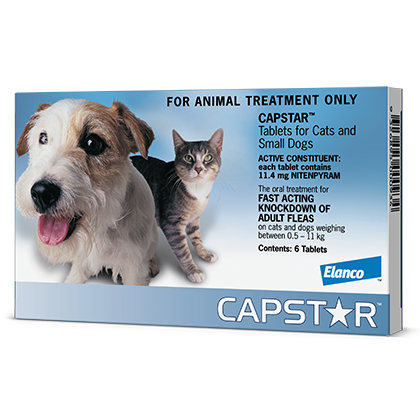  Capstarᵀᴹ for Dogs and Cats