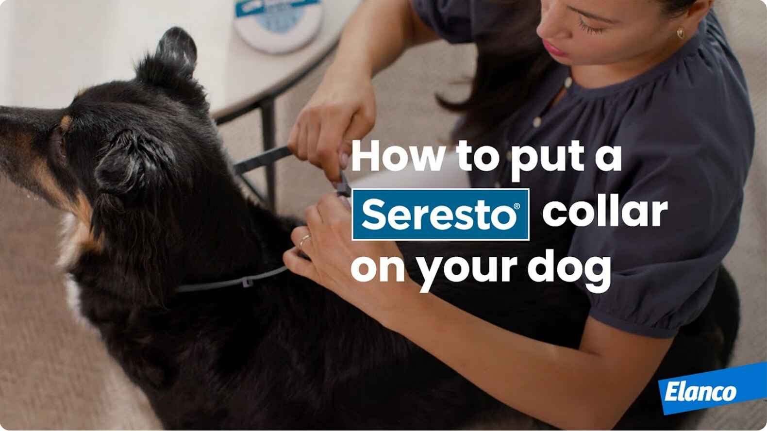 Seresto for outlet puppies