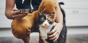 Cat with owner