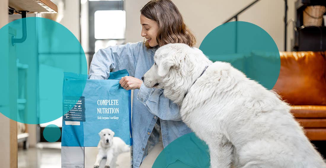 Golden Retriever waiting patiently as woman is feeding her dog out of a bag of dog food
