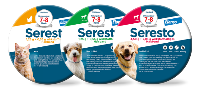 wasserdichter hundemantel 2in1 Wasserdichter Hundemantel zum Trocknen und/oder Aufwrmen von dog &  field Gre XS bis XXL