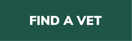 Zenrelia Find A Vet button