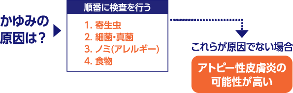 かゆみの診断方法