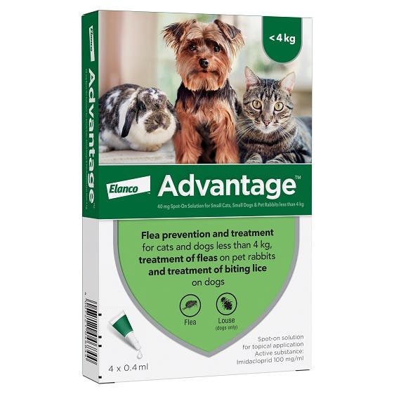 Advantage for flea and lice control in cats, dogs and rabbits over 4kg 