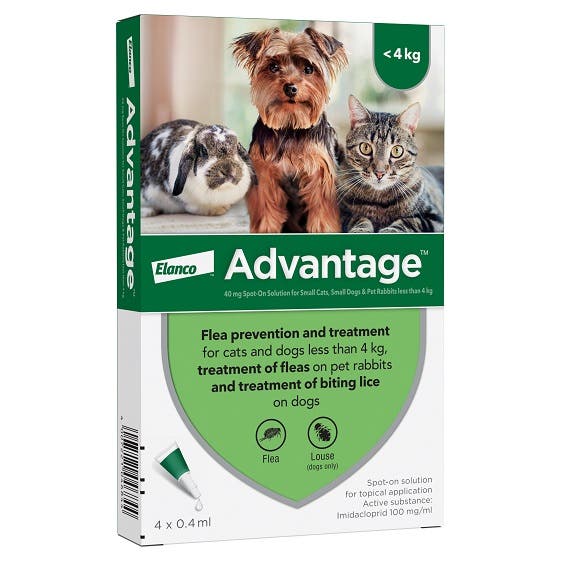 Advantage for flea and lice control in cats, dogs and rabbits over 4kg