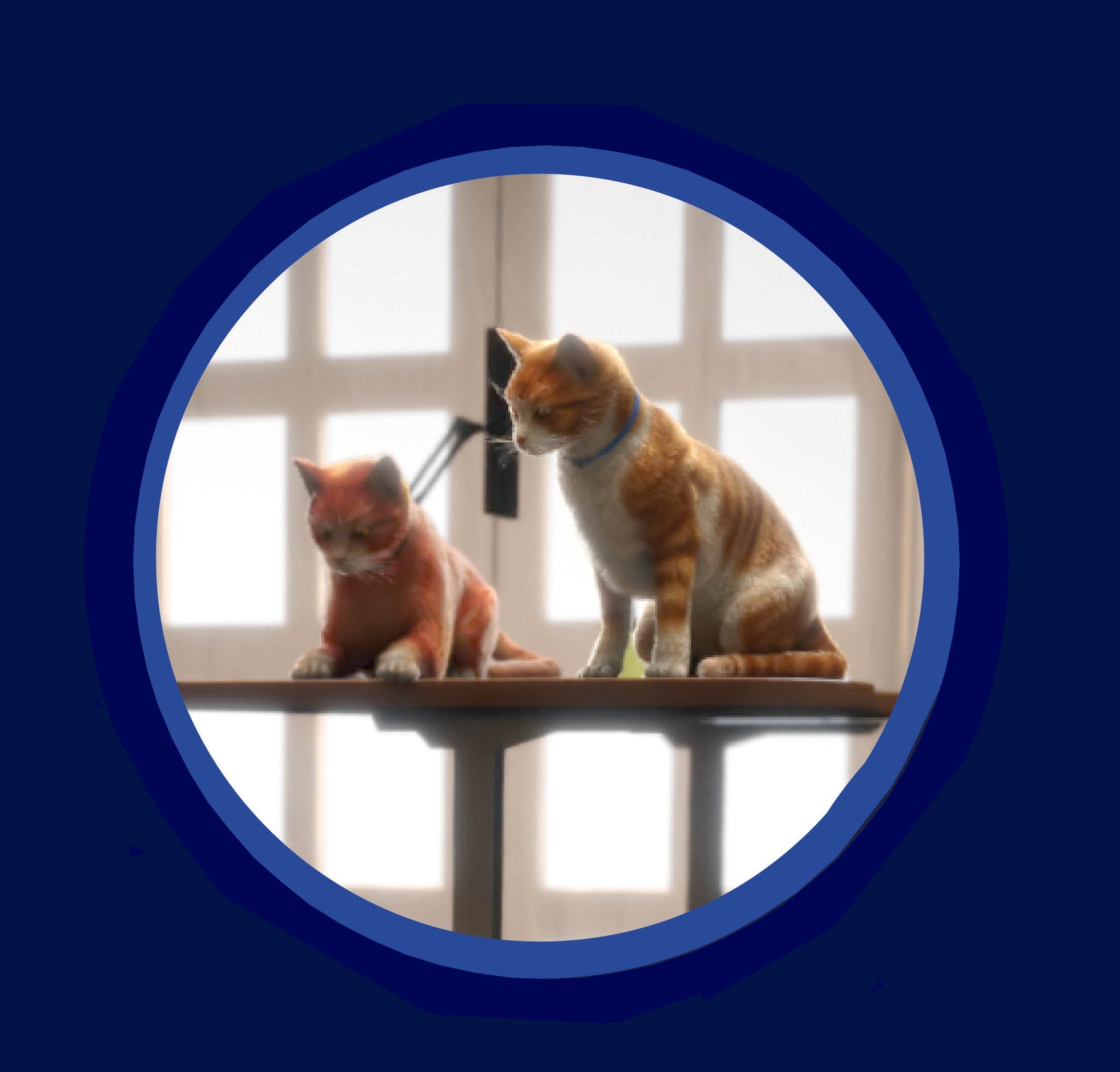 Immagine di gatti con osteoartrite