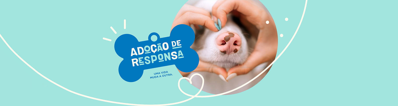 Adoção de responsa Elanco programa para adoção de cães cachorros