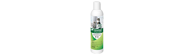 Advantage Treatment Shampoo For Cats Bottle