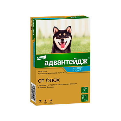 Advantage for dogs from 4 to 10 kg