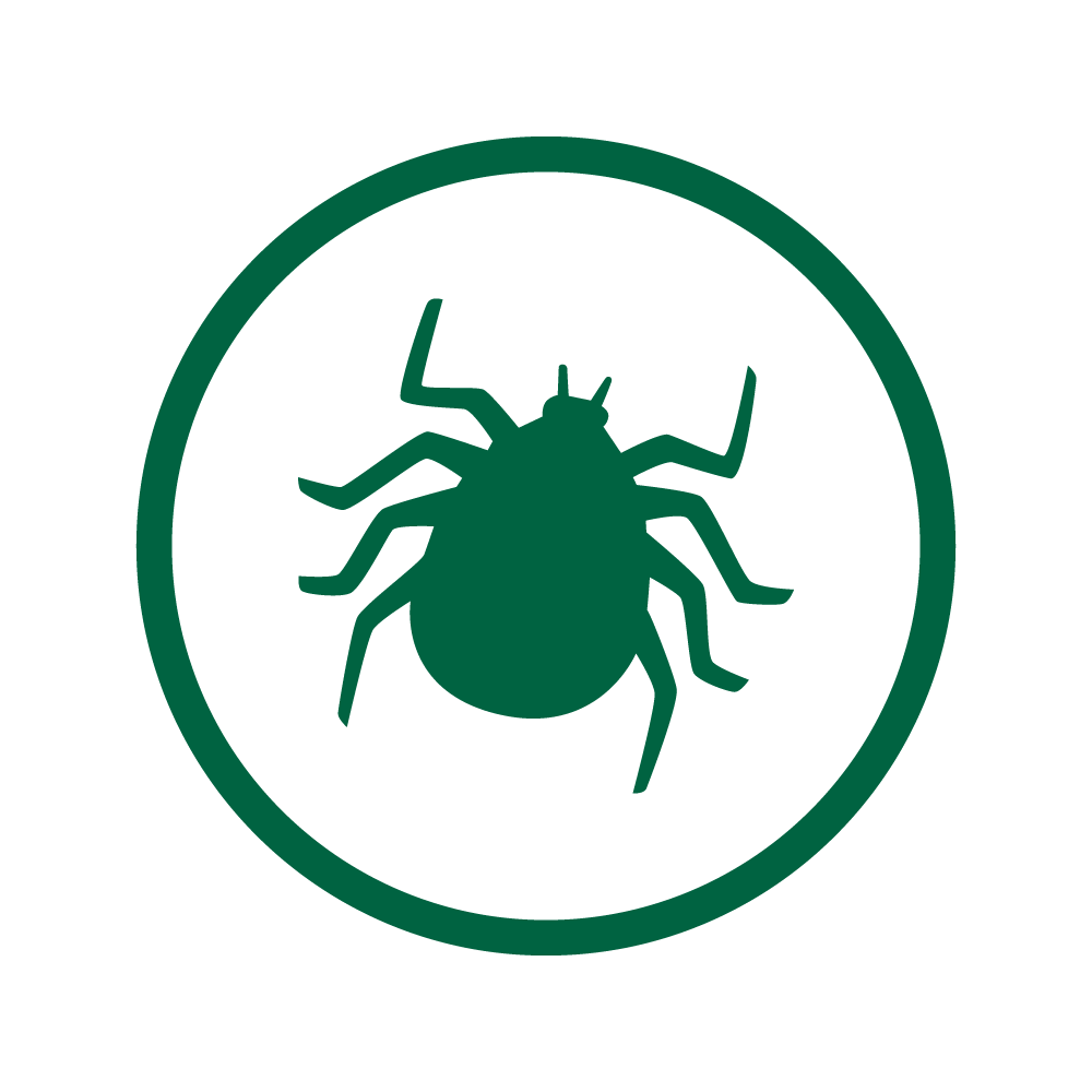 Tick icon