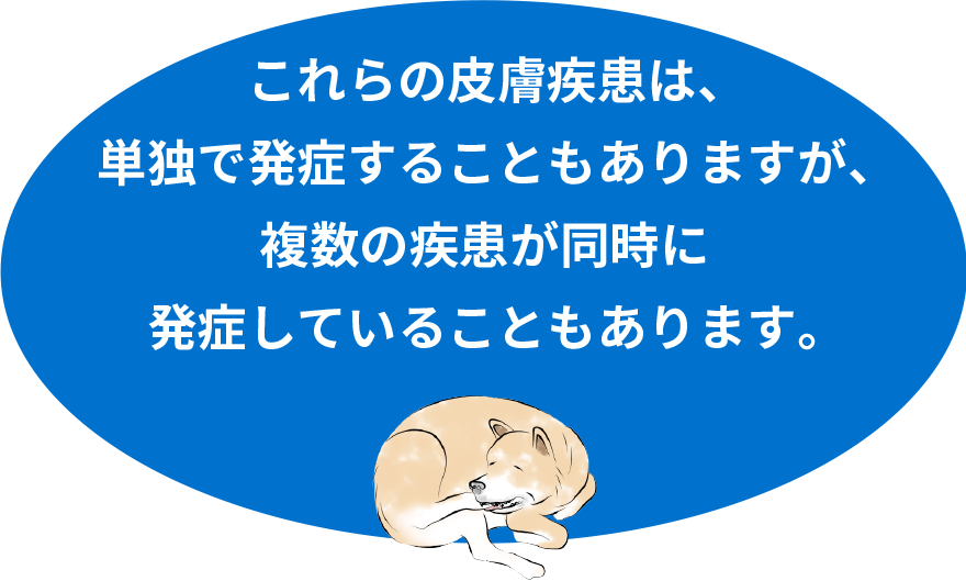 これらの皮膚疾患は、単独で発症することもありますが、複数の疾患が同時に発症していることもあります。