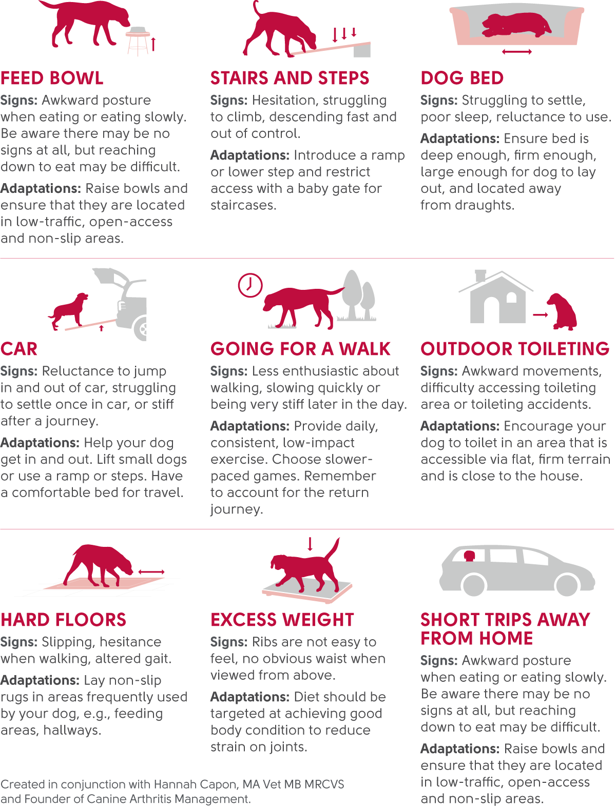 Beneficial changes to make to help dogs with OA