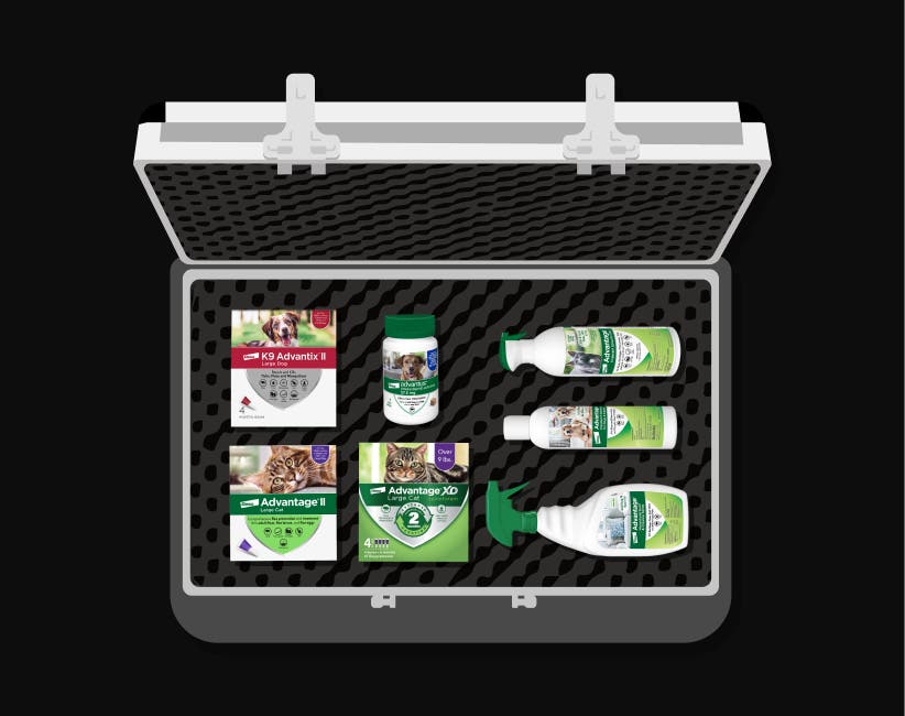 An open briefcase filled with Advantage family products
