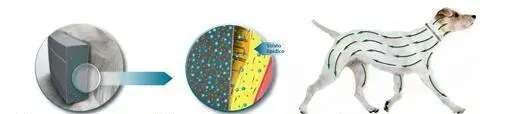 Collare Seresto™ per cani con matrice polimerica - rilascio lento di imidacloprid e flumetrina, uccide pulci e zecche e riduce il rischio di malattie trasmesse da vettore