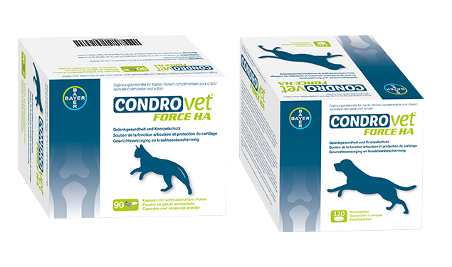 Condrovet® : soutenez la fonction articulaire en cas d'arthrose | Mon Animal et Moi