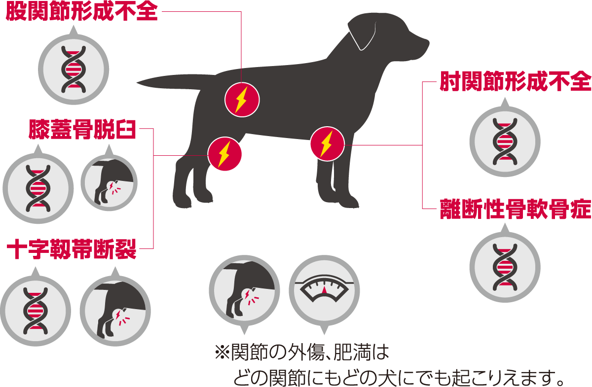 発症しやすい部位