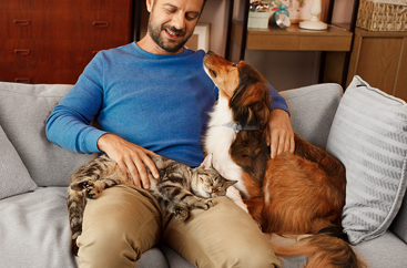 犬と猫のノミはペットに不快感を与えるだけでなく、家全体のノミの蔓延につながることもあります。
