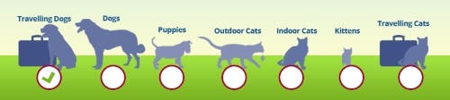 Animals at risk of whipworms