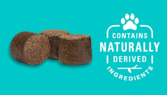 Alenza soft chew aging support for dogs with naturally derived ingredients. 