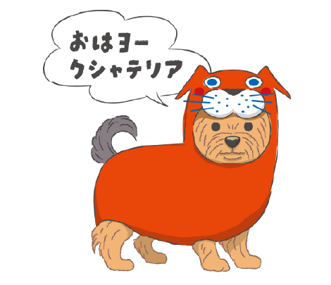 ANSET 待ち受け画像 猫7