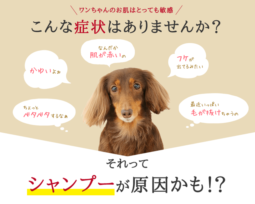 こんな症状はありませんか？シャンプーが原因かも