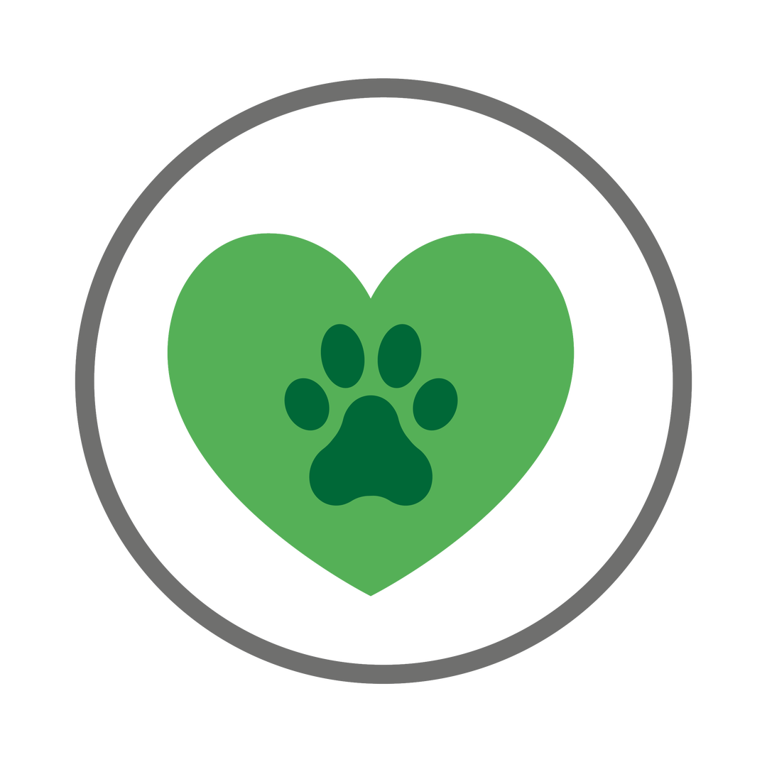 Capstar™ Comprimé AntiPuces pour chien et chat Elanco Site Officiel