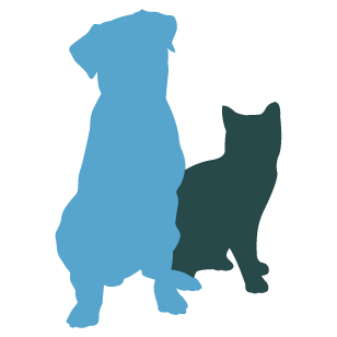 Dog and cat