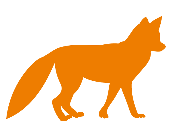 Foxes carry lungworm