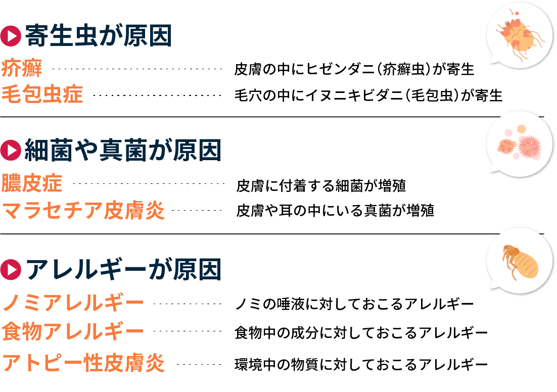 かゆみの原因、寄生虫・細菌真菌、アレルギー