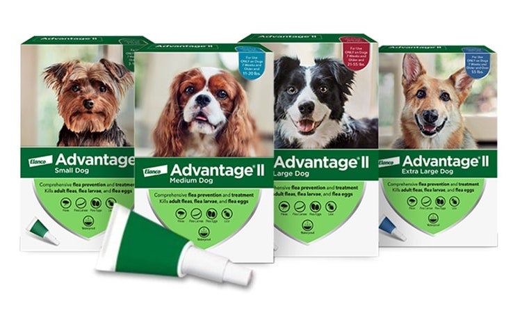 a collection of the Advantage II for extra large dog, large dog, medium dog and small dog product boxes with topical flea treatment applicator