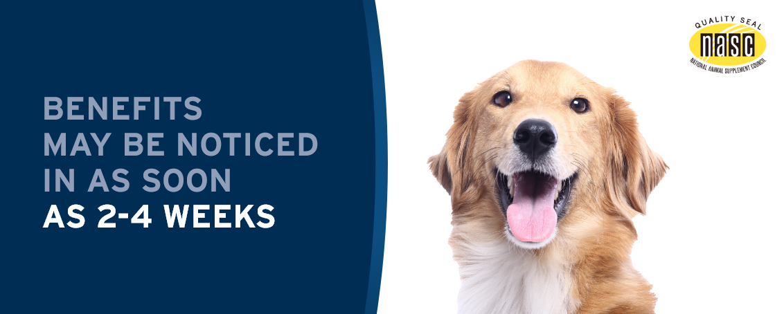 Benefits may be noticed as soon as 2-4 weeks with pet protect supplements