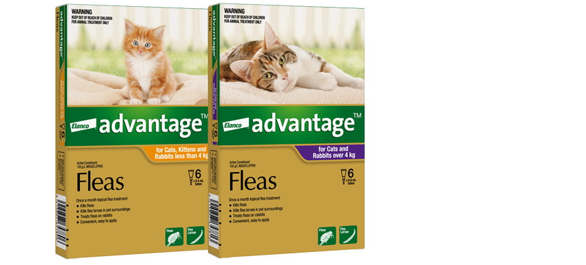 Advantage™ Topical Flea Treatment For Kittens Cat And Rabbit | Nz