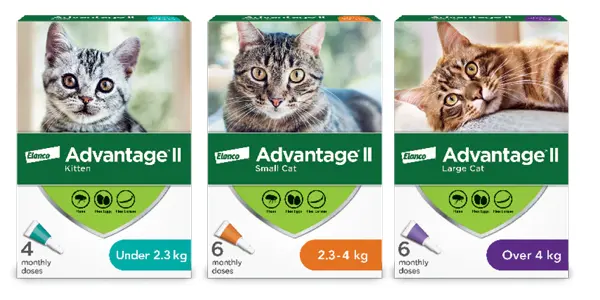 Advantage ii large cat 4 pack best sale