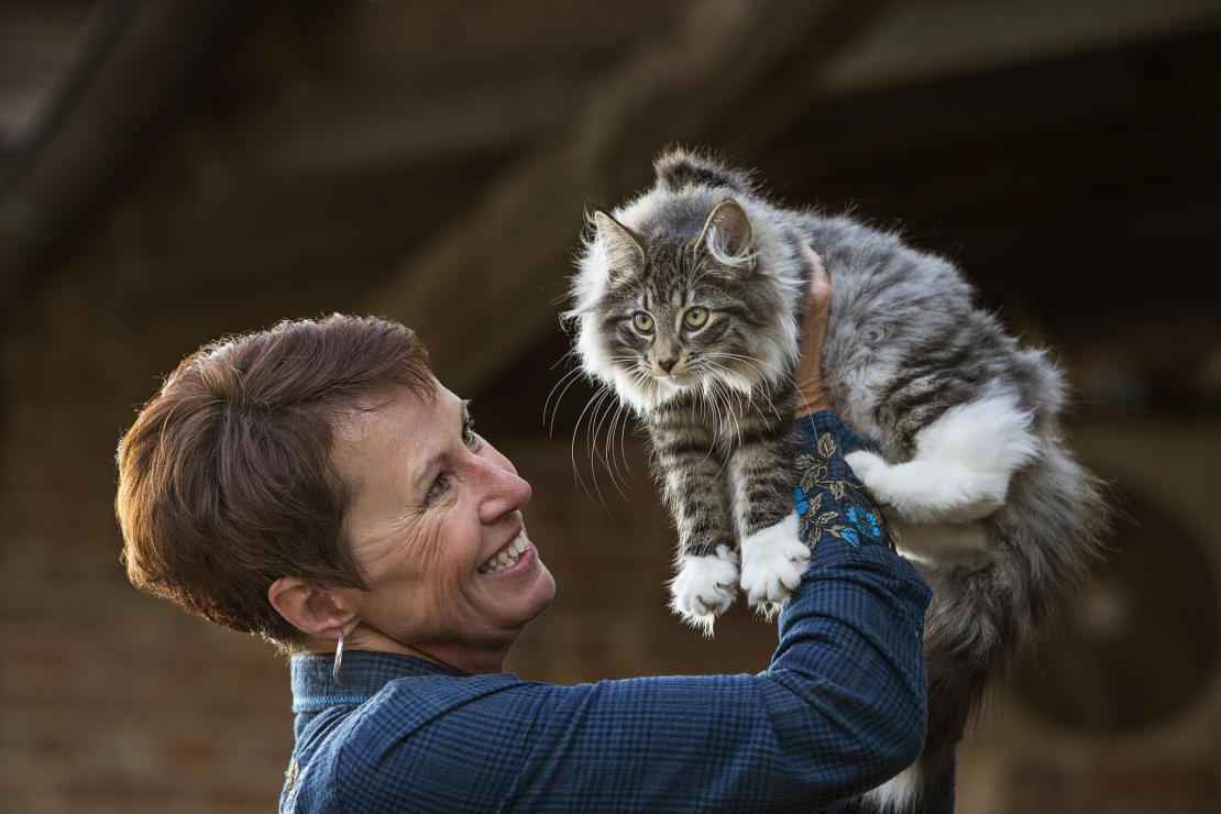 Foto van een lachende vrouw die een kat omhoog houdt